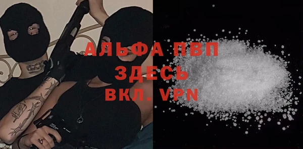 МДПВ Рославль