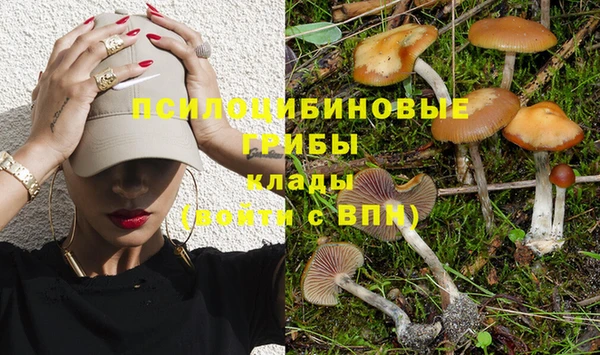 mdma Елизово