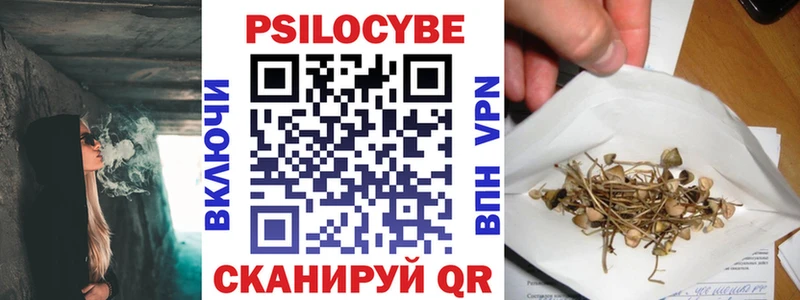 наркотики Добрянка Псилоцибиновые грибы ЛСД